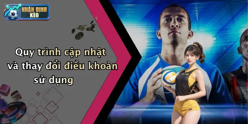 Quy trình cập nhật và thay đổi điều khoản sử dụng