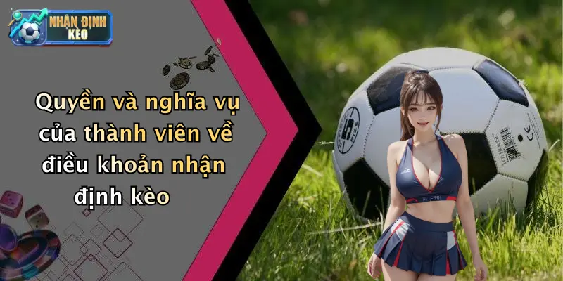 Quyền và nghĩa vụ của thành viên về điều khoản nhận định kèo