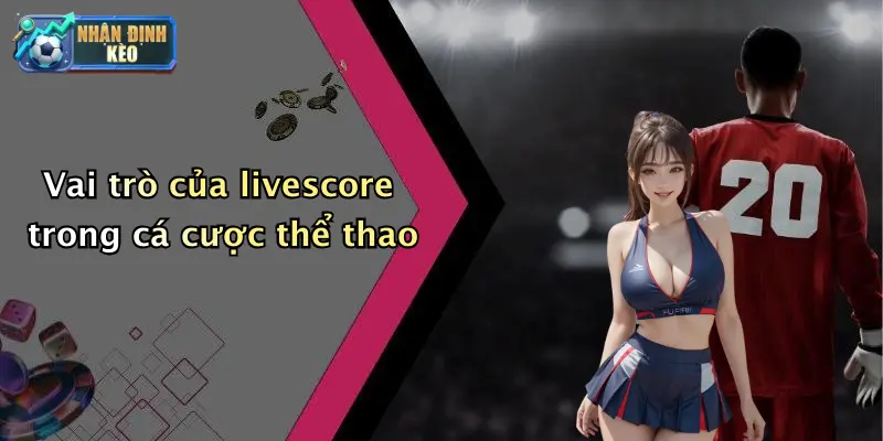 Vai trò của livescore trong cá cược thể thao