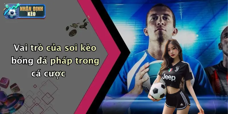 Vai trò của soi kèo bóng đá pháp trong cá cược