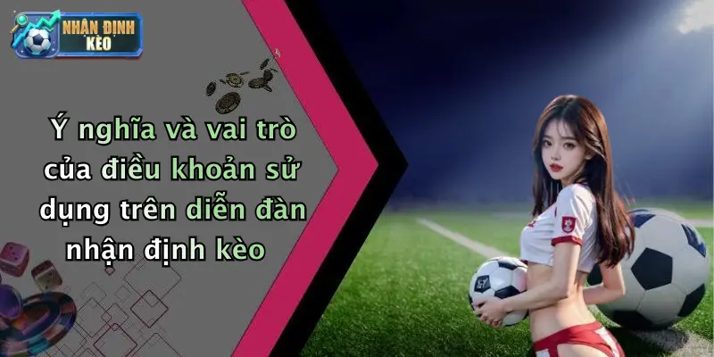 Ý nghĩa và vai trò của điều khoản sử dụng trên diễn đàn nhận định kèo