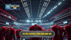 Soi kèo Liverpool hôm nay: Nhận định chính xác từ chuyên gia